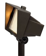 Hinkley Canada 1521BZ - Flood Light with Frosted Lens