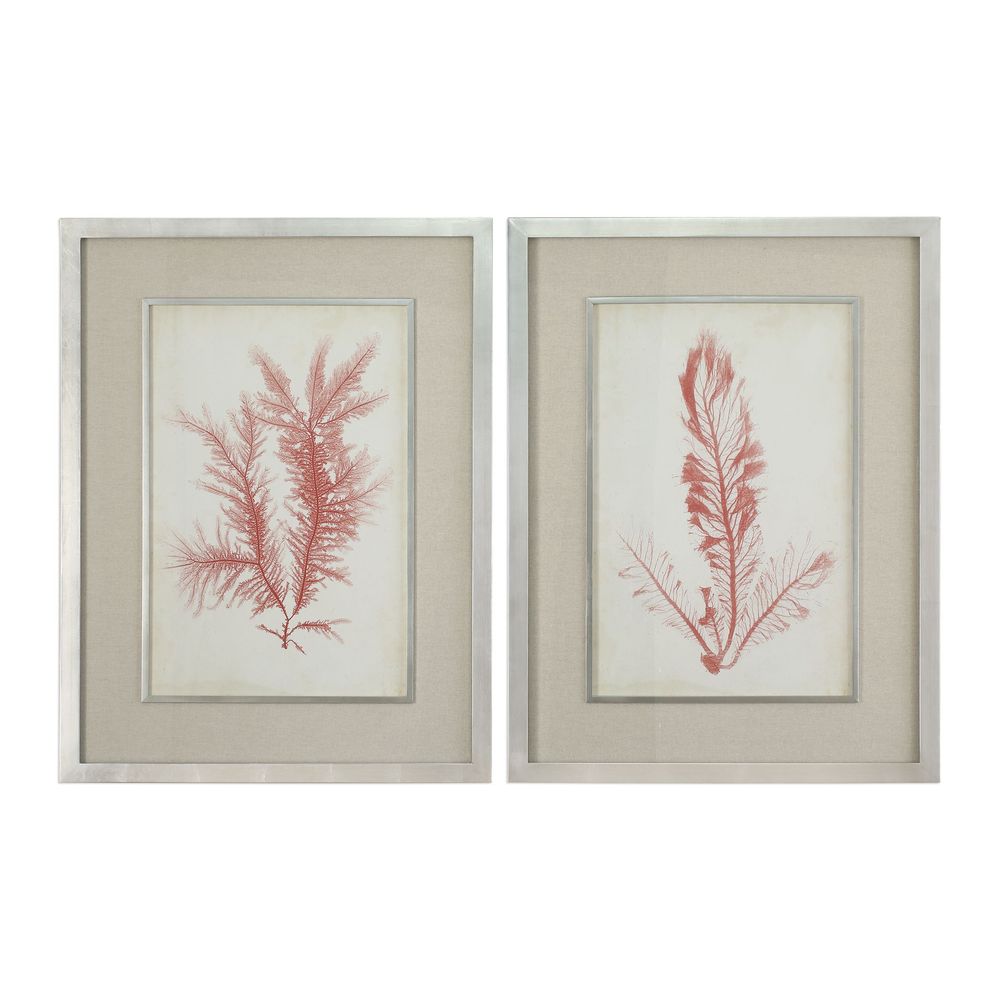 Uttermost Coral Sea Feathers Prints S/2