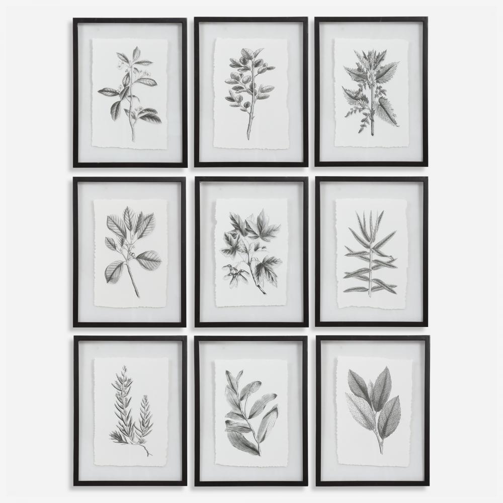 Uttermost Farmhouse Florals Framed Prints, S/9