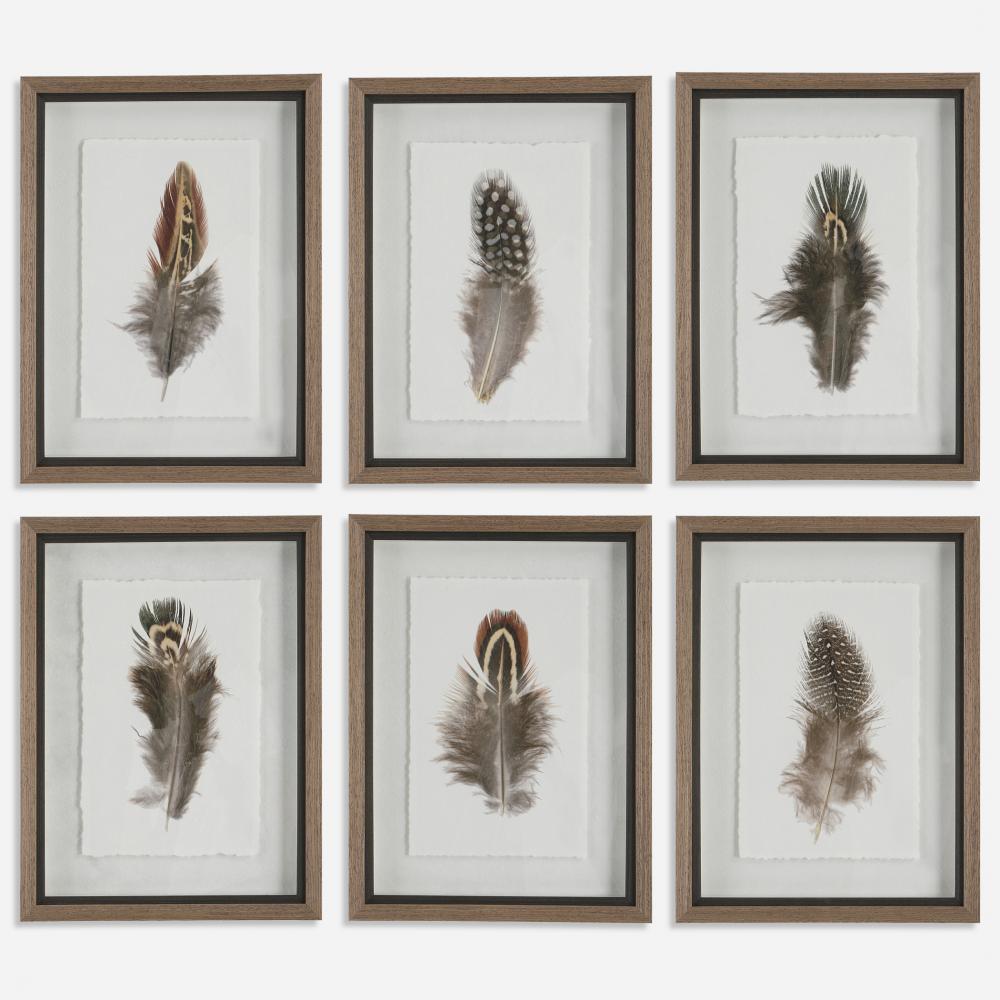 Uttermost Birds of A Feather Framed Prints, S/6