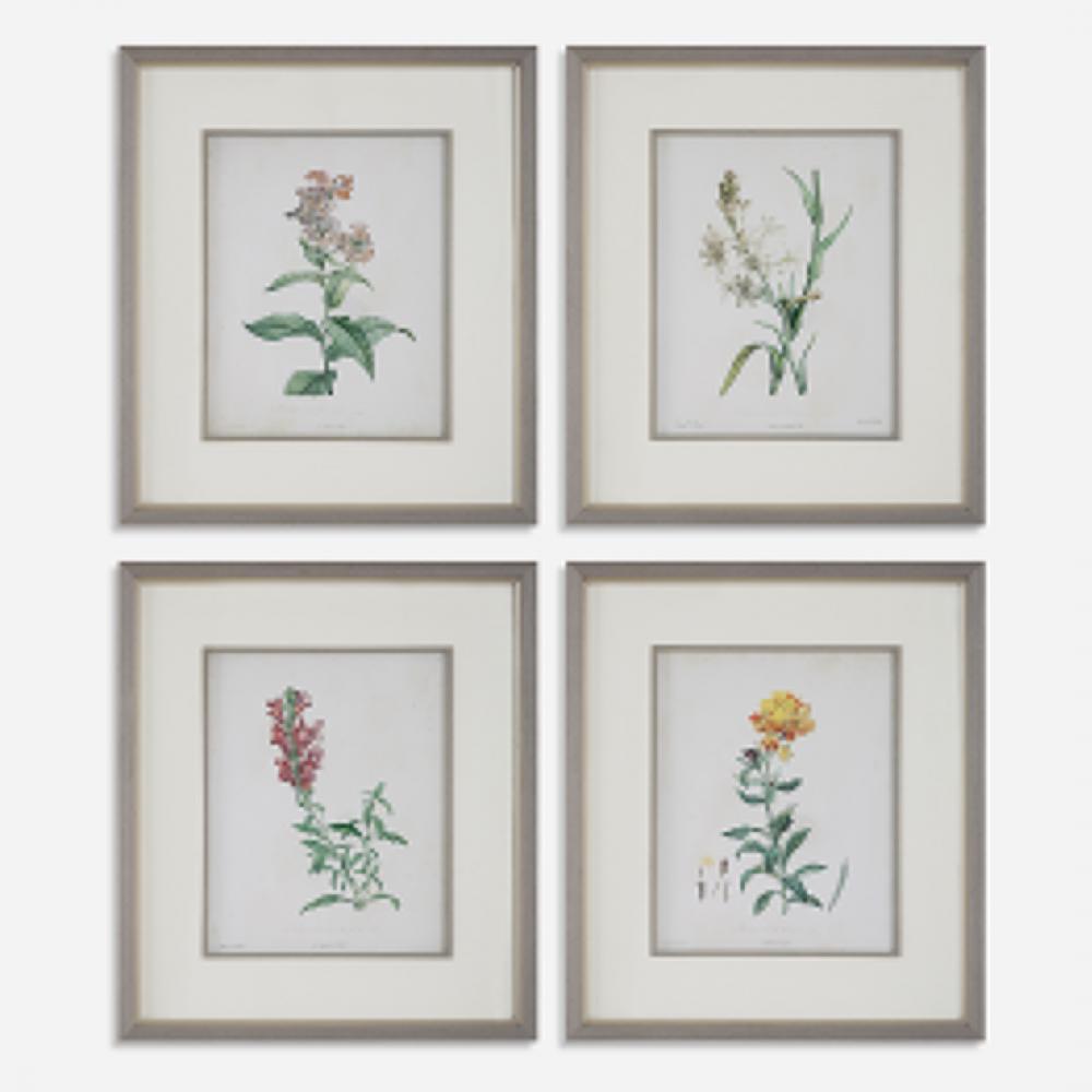 Uttermost Heirloom Blooms Study Framed Prints Set/4