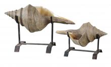 Uttermost 19556 - Uttermost Conch Shell Sculpture, Set/2