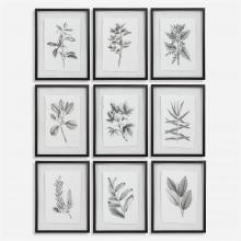 Uttermost 41617 - Uttermost Farmhouse Florals Framed Prints, S/9