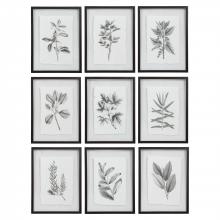 Uttermost 41617 - Uttermost Farmhouse Florals Framed Prints, S/9