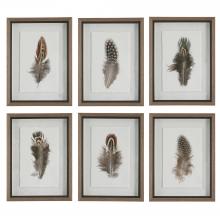 Uttermost 41460 - Uttermost Birds Of A Feather Framed Prints, S/6