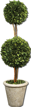 Uttermost 60106 - Uttermost Two Sphere Topiary Preserved Boxwood