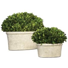 Uttermost 60107 - Uttermost Oval Domes Preserved Boxwood Set/2