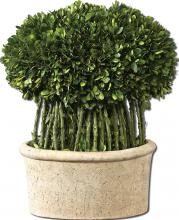 Uttermost 60108 - Uttermost Willow Topiary Preserved Boxwood
