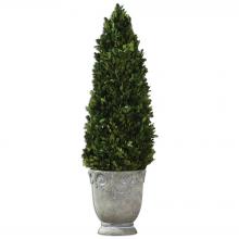 Uttermost 60111 - Uttermost Boxwood Cone Topiary