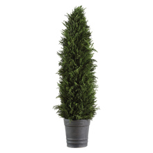 Uttermost 60139 - Uttermost Cypress Cone Topiary