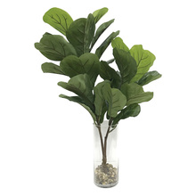 Uttermost 60164 - Uttermost Urbana Fiddle Leaf Fig Plant