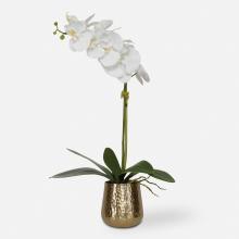 Uttermost 60189 - Uttermost Cami Orchid with Brass Pot